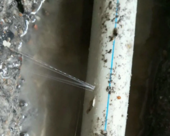 通州卫生间测漏水多少钱